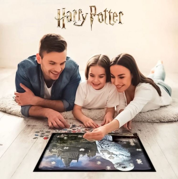 3Д Пазл Гаррі Поттер Prime 3D Puzzle Harry Potter Hedwig сова Букля Гедвіг (500 шт)