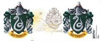 Кружка Harry Potter Slytherin Mug Officially Licensed