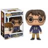 Фігурка Funko Pop! Harry Potter - Harry Potter sweater (Exclusive) Фігурка Funko Pop! Harry Potter - Harry Potter sweater (Exclusive)