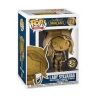 Фігурка Funko Pop Blizzcon World of Warcraft - Lady Sylvanas (Exclusive Rare) Фігурка Funko Pop Blizzcon World of Warcraft - Lady Sylvanas (Exclusive Rare)
