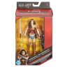 Ліга справедливості: Чудо Жінка Фігурка DC Comics Multiverse - Justice League - Wonder Woman Figure Ліга справедливості: Чудо Жінка Фігурка DC Comics Multiverse - Justice League - Wonder Woman Figure
