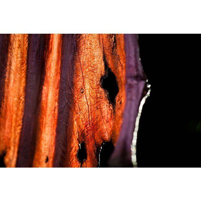 Статуетка Іллідан World of Warcraft - Illidan Statue 60 см.