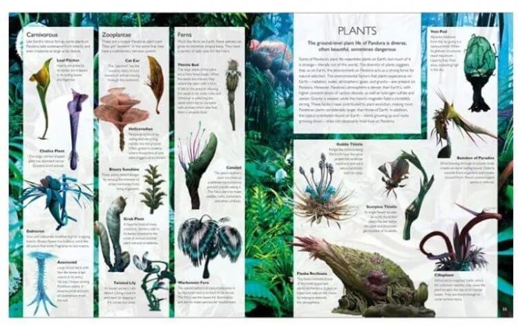 Книга артбук The World of Avatar: A Visual Exploration Аватар (Hardcover) Книга артбук The World of Avatar: A Visual Exploration Аватар (Hardcover)