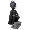 Фигурка Dark Knight Rises Batman Bobble Head Фигурка Dark Knight Rises Batman Bobble Head
