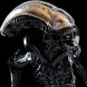 Статуэтка MINI EPICS: XENOMORPH 19 cm (Weta) 