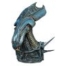 Бюст скарбничка Aliens: Alien Xenomorph Queen Bust Bank
