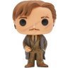 Фігурка Funko Pop Harry Potter: Remus Lupin Ремус Люпин фанко 45